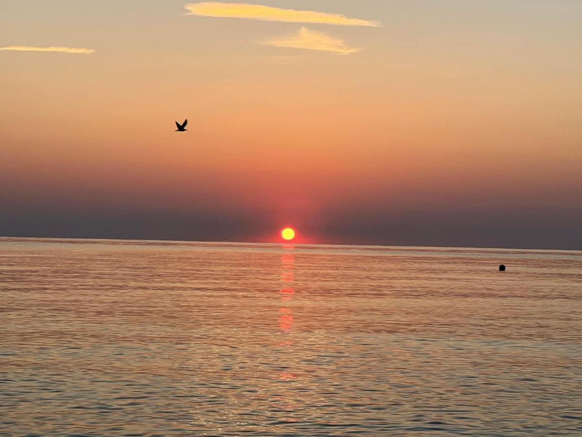Complex Relax Pomorie All Inclusive Exteriér fotografie